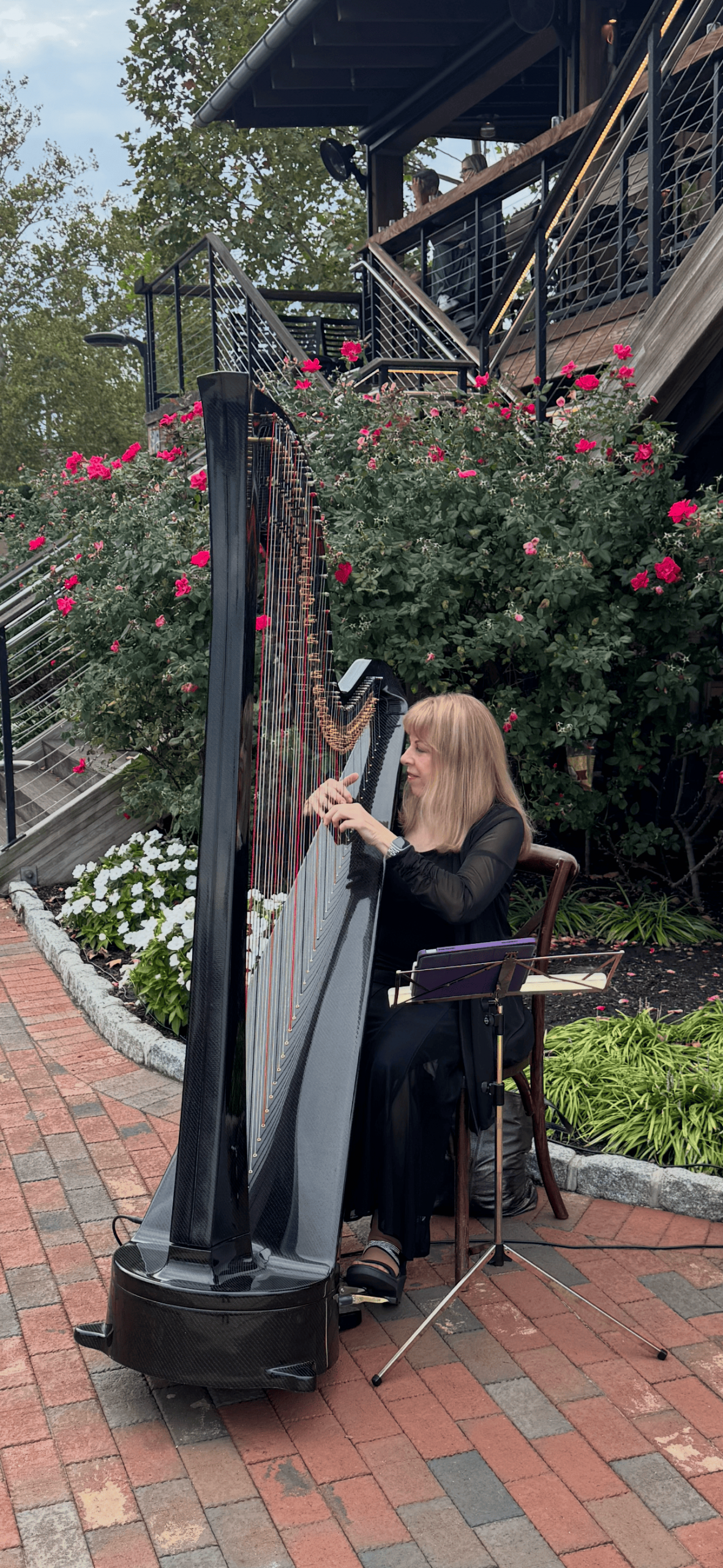 64C8C641-2D7A-4F4C-87B9-80EE5CBEE528 (1)